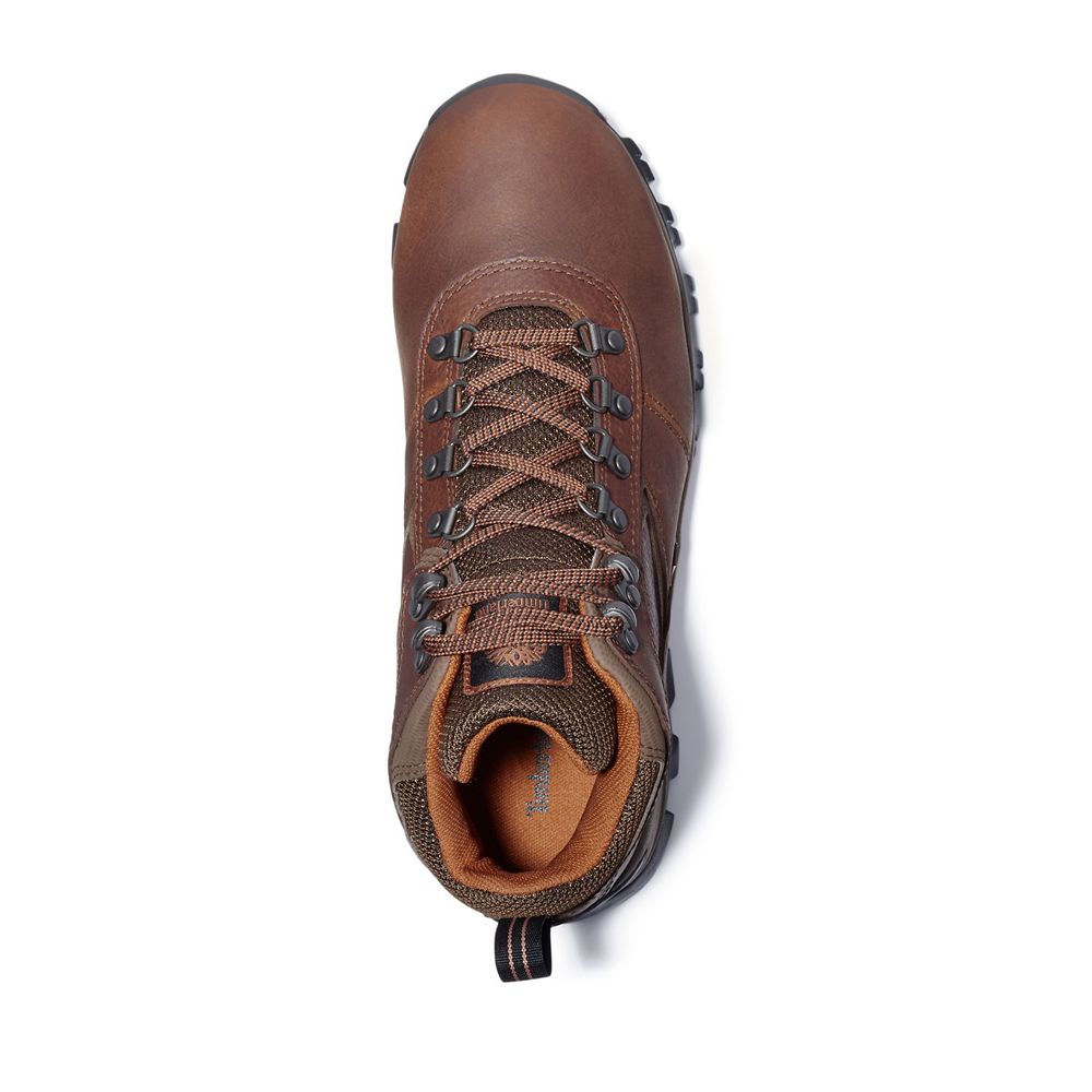 Bocanci De Drumeție Timberland Barbati Maro - Mt. Maddsen Mid Waterproof - Romania - JPMDFN438